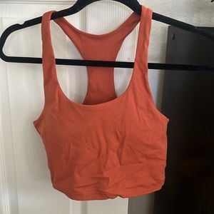 Paragon Orange Racer Crop